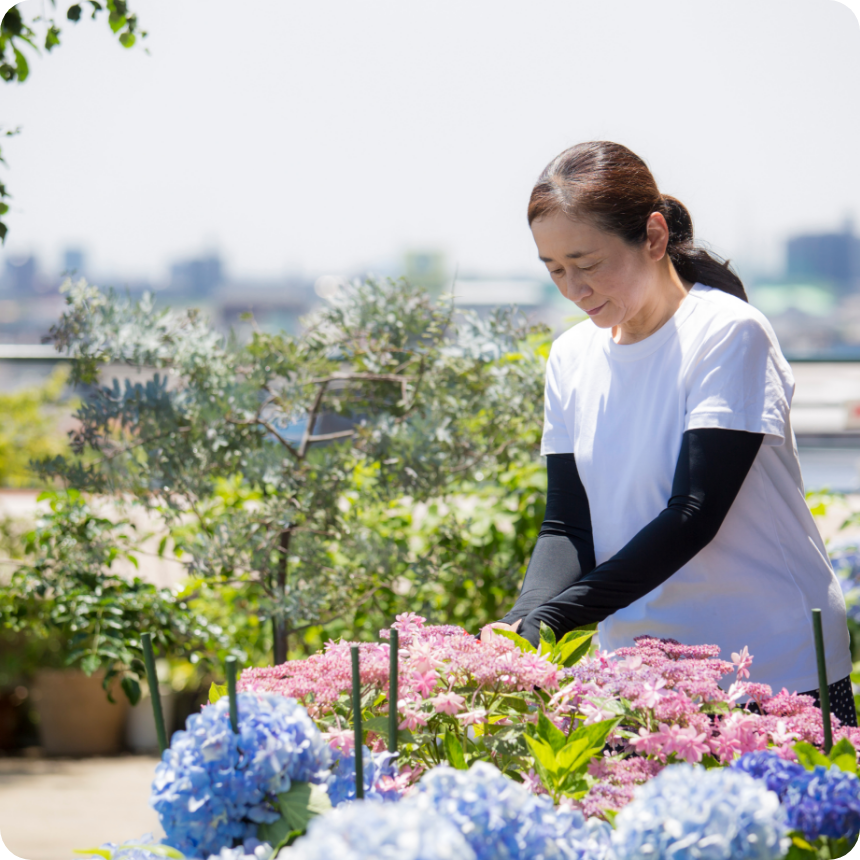 カラーパレット
